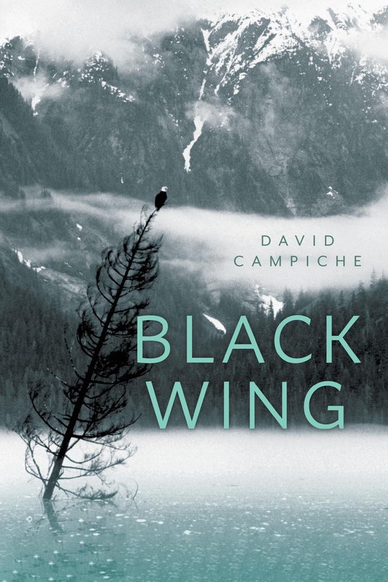 Black Wing by David Campiche